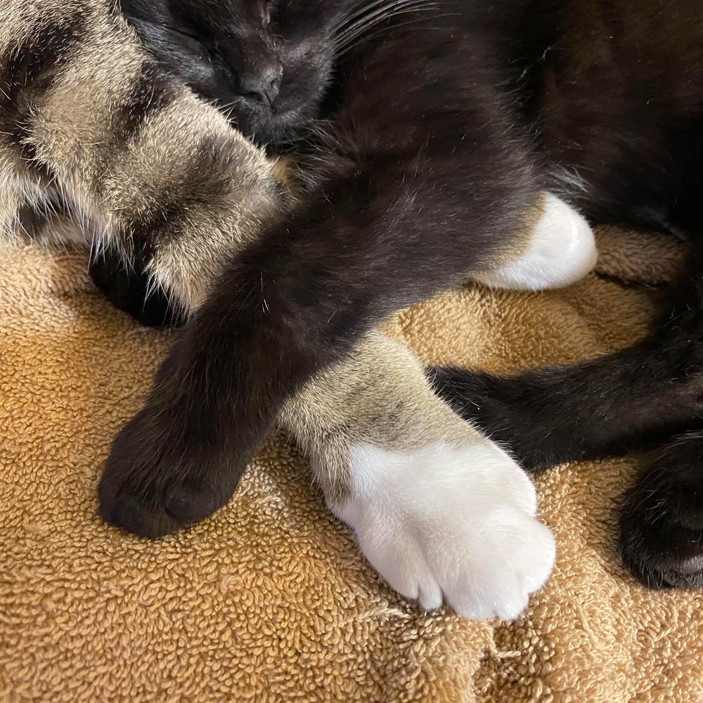 Meet your Posher, Karla